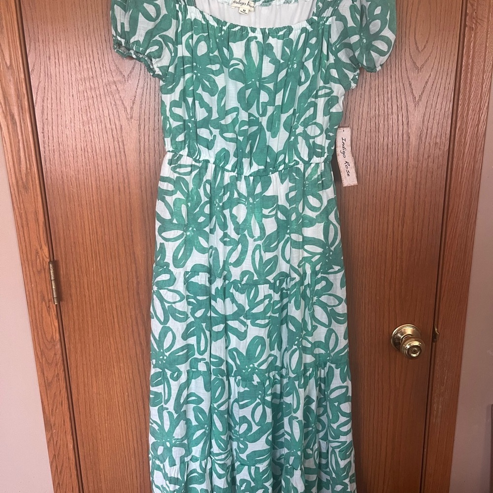 Pretty Indigo Rose Green Floral Maxi Dress